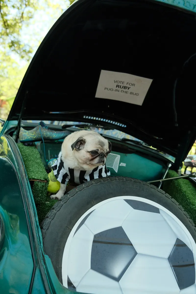 Glovebox Gallery Photograph
